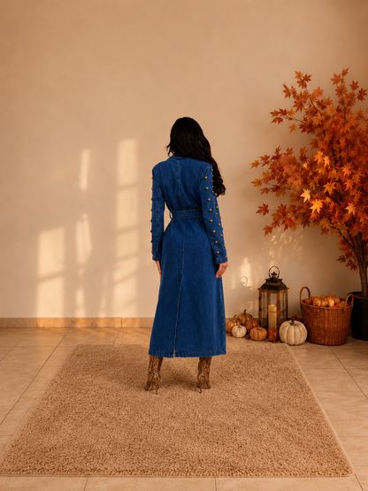 Aramyas Denim Coat Dress